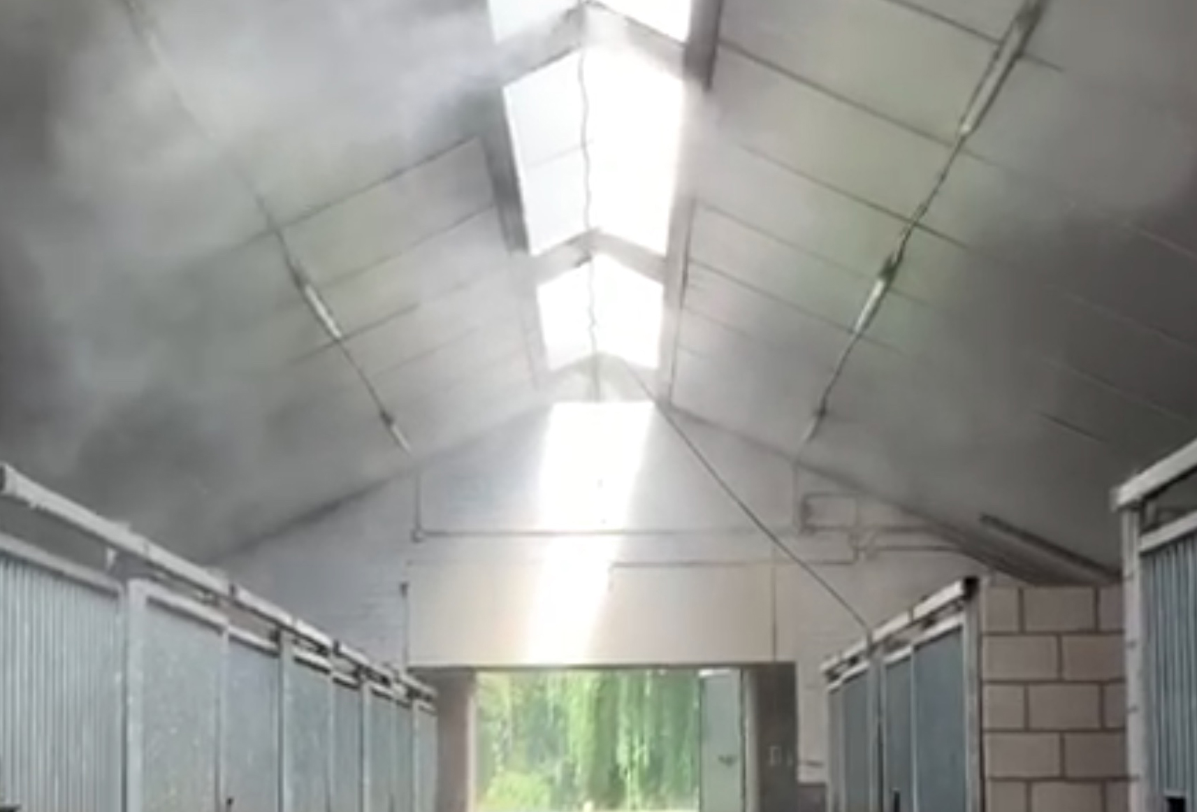 cornelissen vernevelen 2